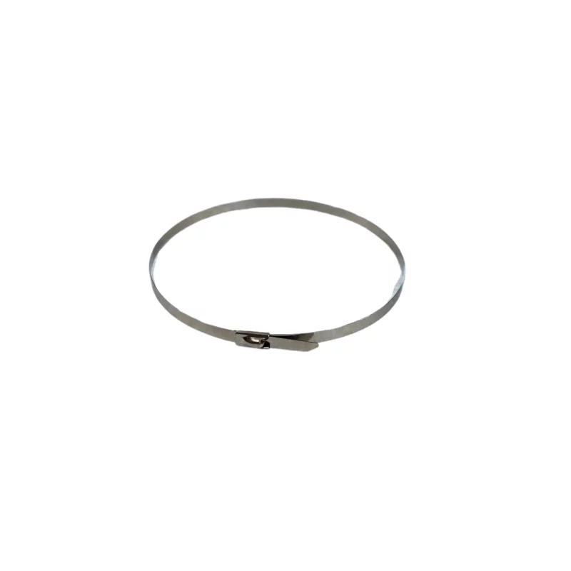 coliere-prindere-din-otel-inoxidabil-46-x-200-mm-2145__w800_h800_c Скоби за закрепване от неръждаема стомана, 4,6 x 200 мм - Image 1