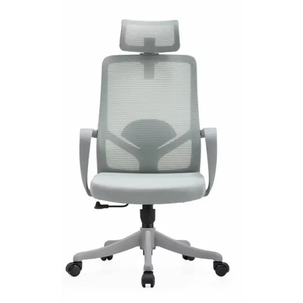 scaun-de-birou-ergonomic-suport-lombar-fix-tetiera-reglabila-cotiera-fixa-design-modern-si-elegant-calitate-premium-dimensiuni-6706851130-1210-mm-1808__w800_h800_c